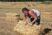 straw bale pickup