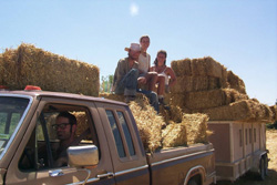 Picking up strawbales